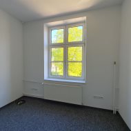 Lokale biurowe handlowe usługow Lesko Centrum