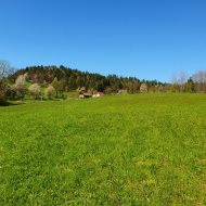 Działka z wydaną decyzją WZ dla zabudowy jednorodz