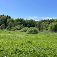 Działka nad Sanem - rekreacyjna