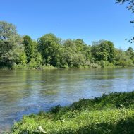 Działka nad Sanem - rekreacyjna