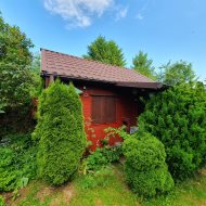 Atrakcyjna działka ROD z ładnym domkiem i krzewami