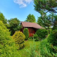 Atrakcyjna działka ROD z ładnym domkiem i krzewami