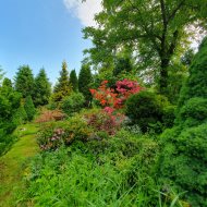 Atrakcyjna działka ROD z ładnym domkiem i krzewami