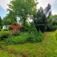 Atrakcyjna działka ROD z ładnym domkiem i krzewami