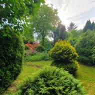 Atrakcyjna działka ROD z ładnym domkiem i krzewami