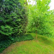 Atrakcyjna działka ROD z ładnym domkiem i krzewami