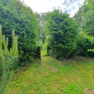 Atrakcyjna działka ROD z ładnym domkiem i krzewami