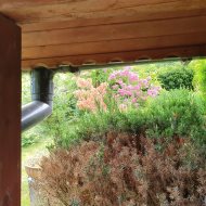 Atrakcyjna działka ROD z ładnym domkiem i krzewami