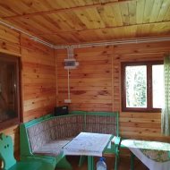 Atrakcyjna działka ROD z ładnym domkiem i krzewami