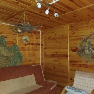 Atrakcyjna działka ROD z ładnym domkiem i krzewami