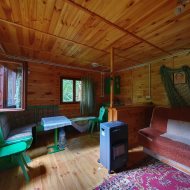 Atrakcyjna działka ROD z ładnym domkiem i krzewami