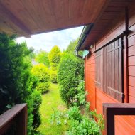 Atrakcyjna działka ROD z ładnym domkiem i krzewami