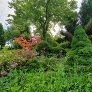 Atrakcyjna działka ROD z ładnym domkiem i krzewami