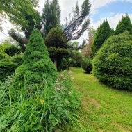 Atrakcyjna działka ROD z ładnym domkiem i krzewami