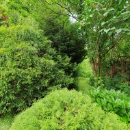 Atrakcyjna działka ROD z ładnym domkiem i krzewami