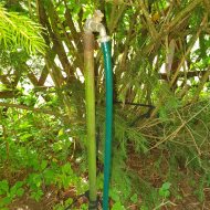 Atrakcyjna działka ROD z ładnym domkiem i krzewami