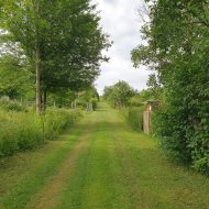 Atrakcyjna działka ROD z ładnym domkiem i krzewami