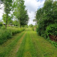 Atrakcyjna działka ROD z ładnym domkiem i krzewami