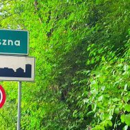 Działka 38a, w tym 8a budowlana, Liszna