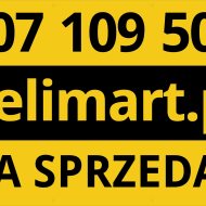 Działka rolna z dostępem do drogi publicznej