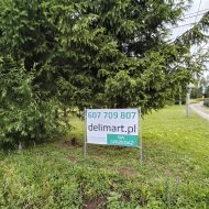 Działka z drewnianym domem w Falejówce 
