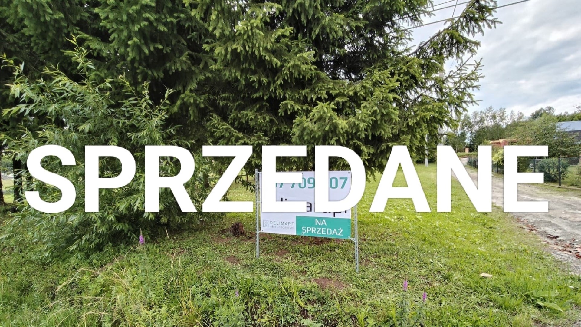 Działka z drewnianym domem w Falejówce 