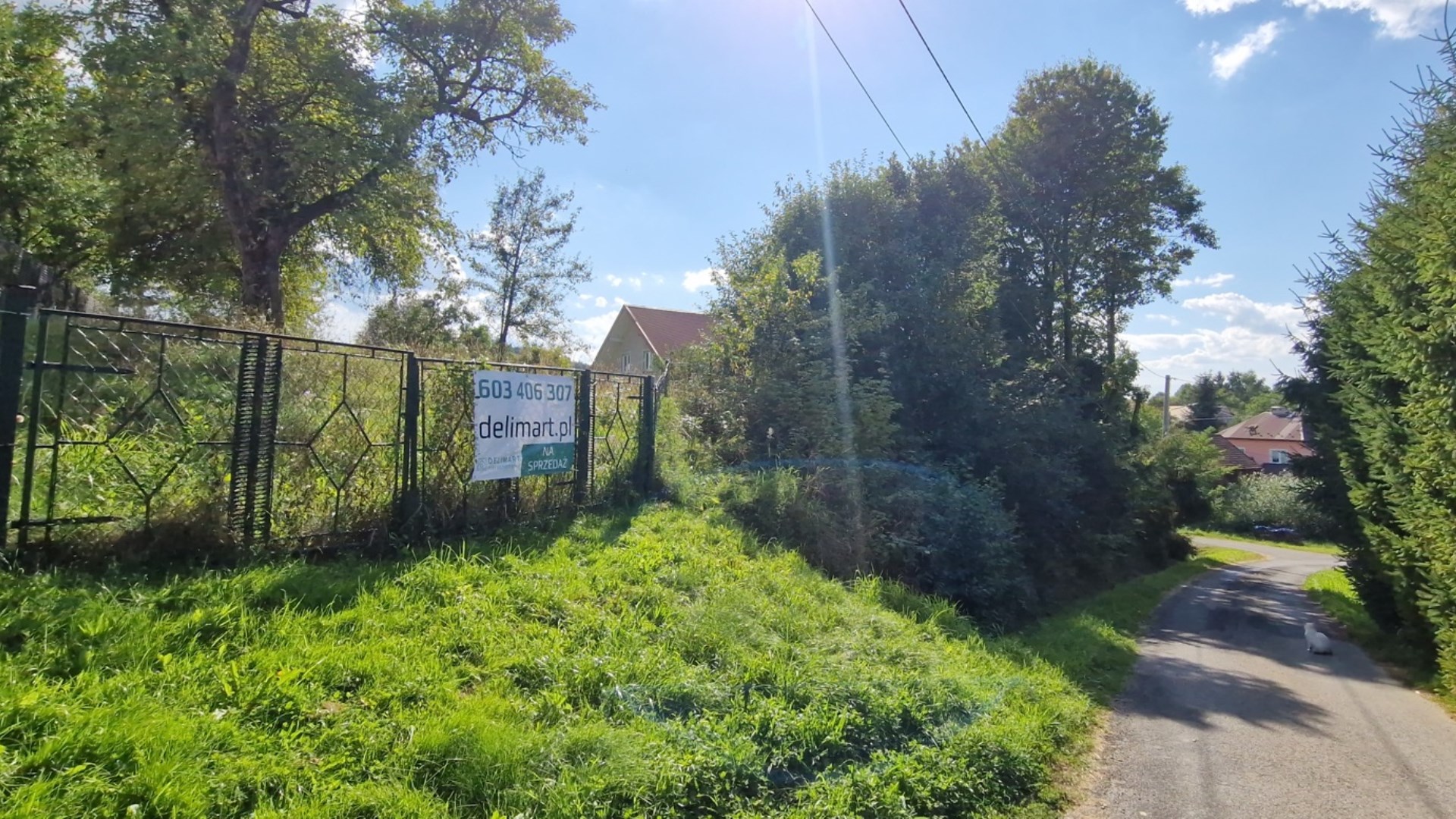 Działka w miejscowości Strachocina