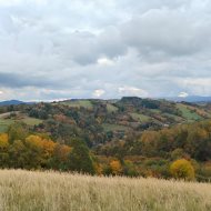 Działka z potencjałem inwestycyjnym obok winnicy  