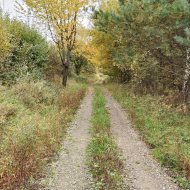 Działka z potencjałem inwestycyjnym obok winnicy  