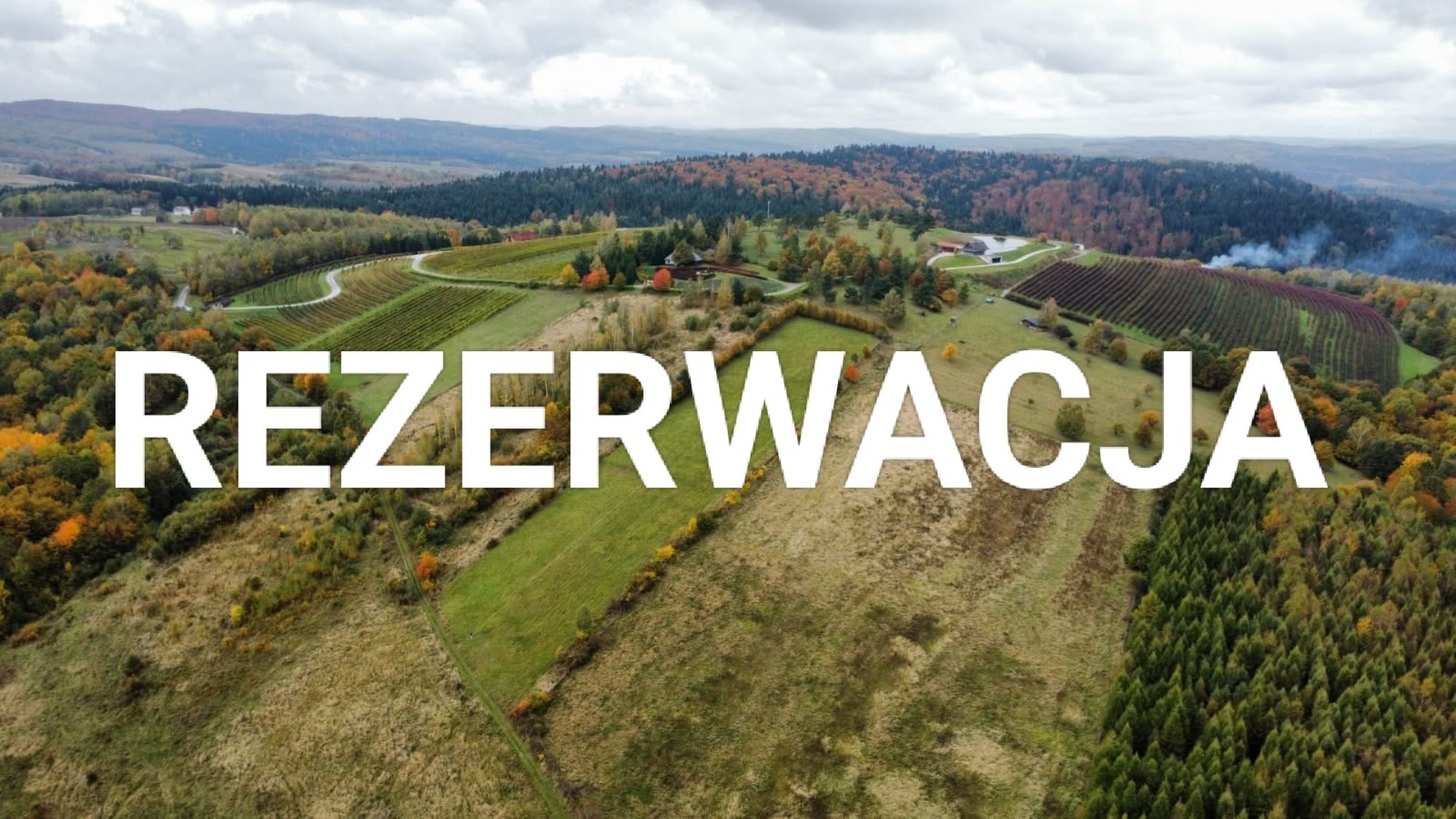 Działka z potencjałem inwestycyjnym obok winnicy  
