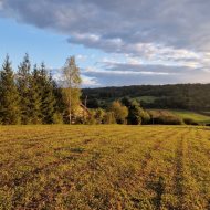 Widokowe działki z WZ Srogów Dolny