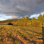Widokowe działki z WZ Srogów Dolny