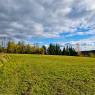 Widokowe działki z WZ Srogów Dolny