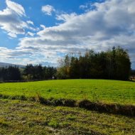 Widokowe działki z WZ Srogów Dolny