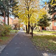 Czteropokojowe Mieszkanie Sanok - Błonie 