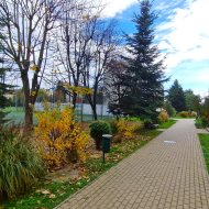 Atrakcyjne, słoneczne mieszkanie na ul. Sadowej