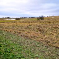 Grunt rolny z potencjałem – Jędruszkowce