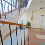 Reprezentacyjny lokal 250 m² w sercu Leska