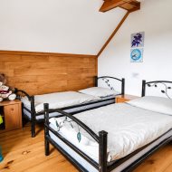 Agroturystyka-dom,dwa domki, 2ha ziemi - Wańkowa 