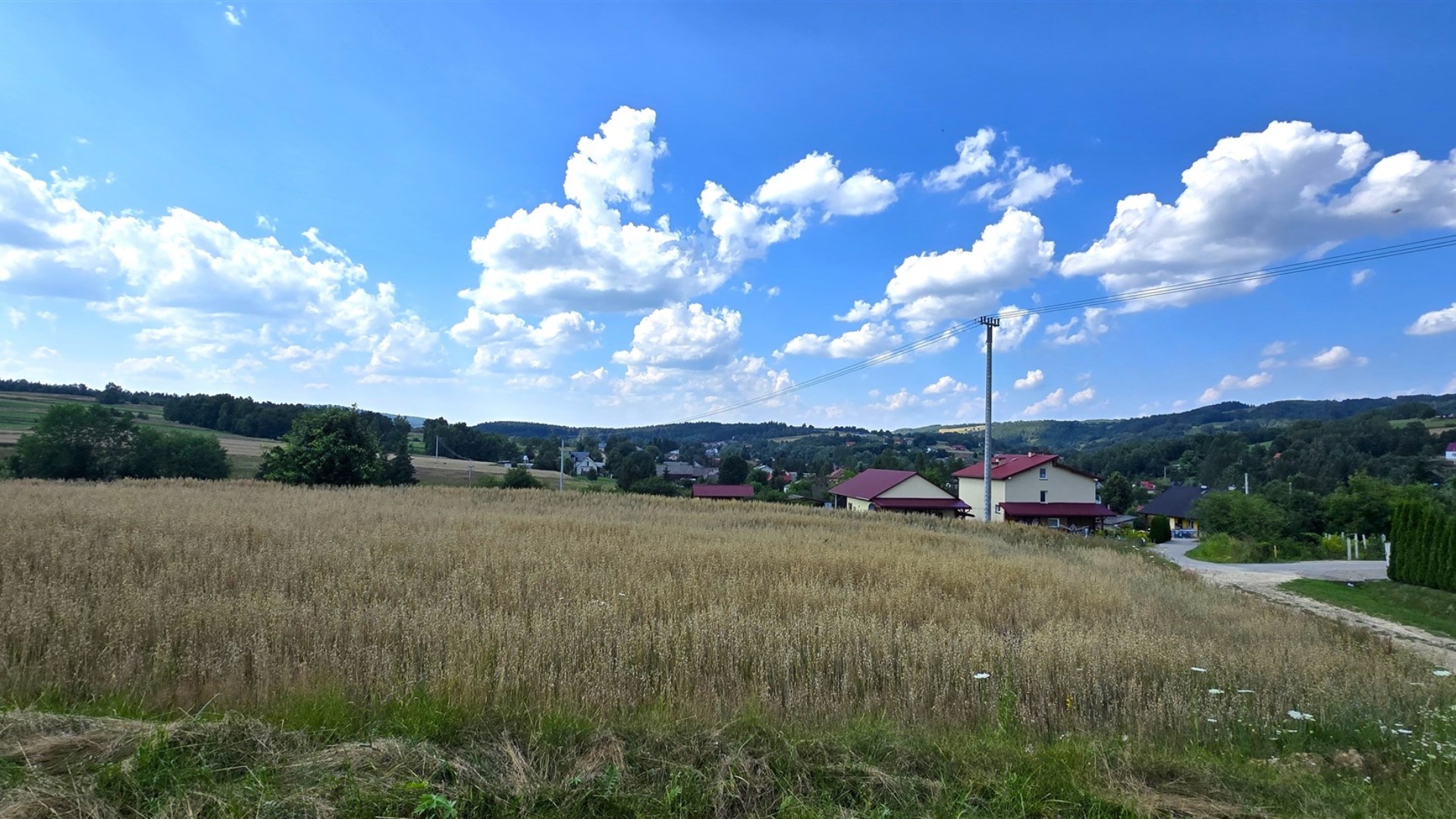 Działka z WZ pod budowę domu – Dydnia, 20,52 ara