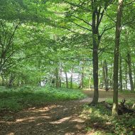 Solina, Topowa działka 1022 m² nad samą wodą
