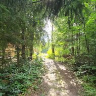 Solina, Topowa działka 1022 m² nad samą wodą