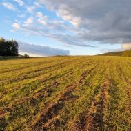 Widokowe działki 12 i 17 ar z WZ Srogów Dolny