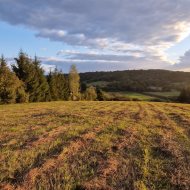 Widokowe działki 12 i 17 ar z WZ Srogów Dolny