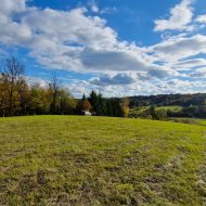 Widokowe działki 12 i 17 ar z WZ Srogów Dolny