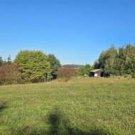 Widokowe działki 12 i 17 ar z WZ Srogów Dolny