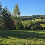 Widokowe działki 12 i 17 ar z WZ Srogów Dolny