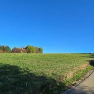 Widokowe działki 12 i 17 ar z WZ Srogów Dolny