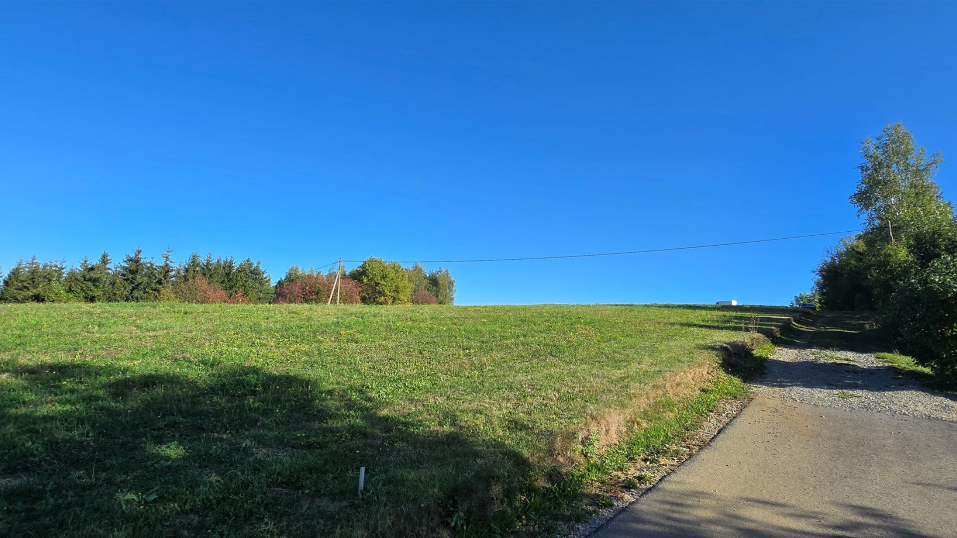 Widokowe działki 12 i 17 ar z WZ Srogów Dolny