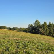 Działka z WZ, Łodzina, gm. Sanok